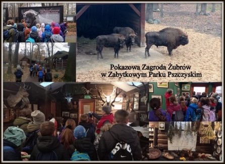 10.11-zubry