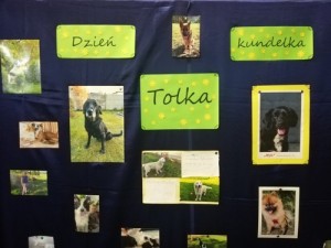 Tolki