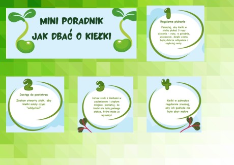 jak-dbac-o-kielki