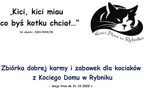 pazdziernik-koci