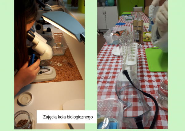 zajecia_kola_biologicznego