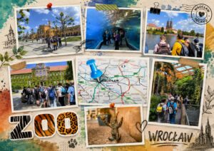 Kolaż zdjęć z wycieczki do Wrocławia i zoo. Uczniowie zwiedzają miasto, odwiedzają Afrykarium oraz spacerują po ogrodzie zoologicznym. Na ilustracji widoczne są także mapa Wrocławia i figurka krasnala.