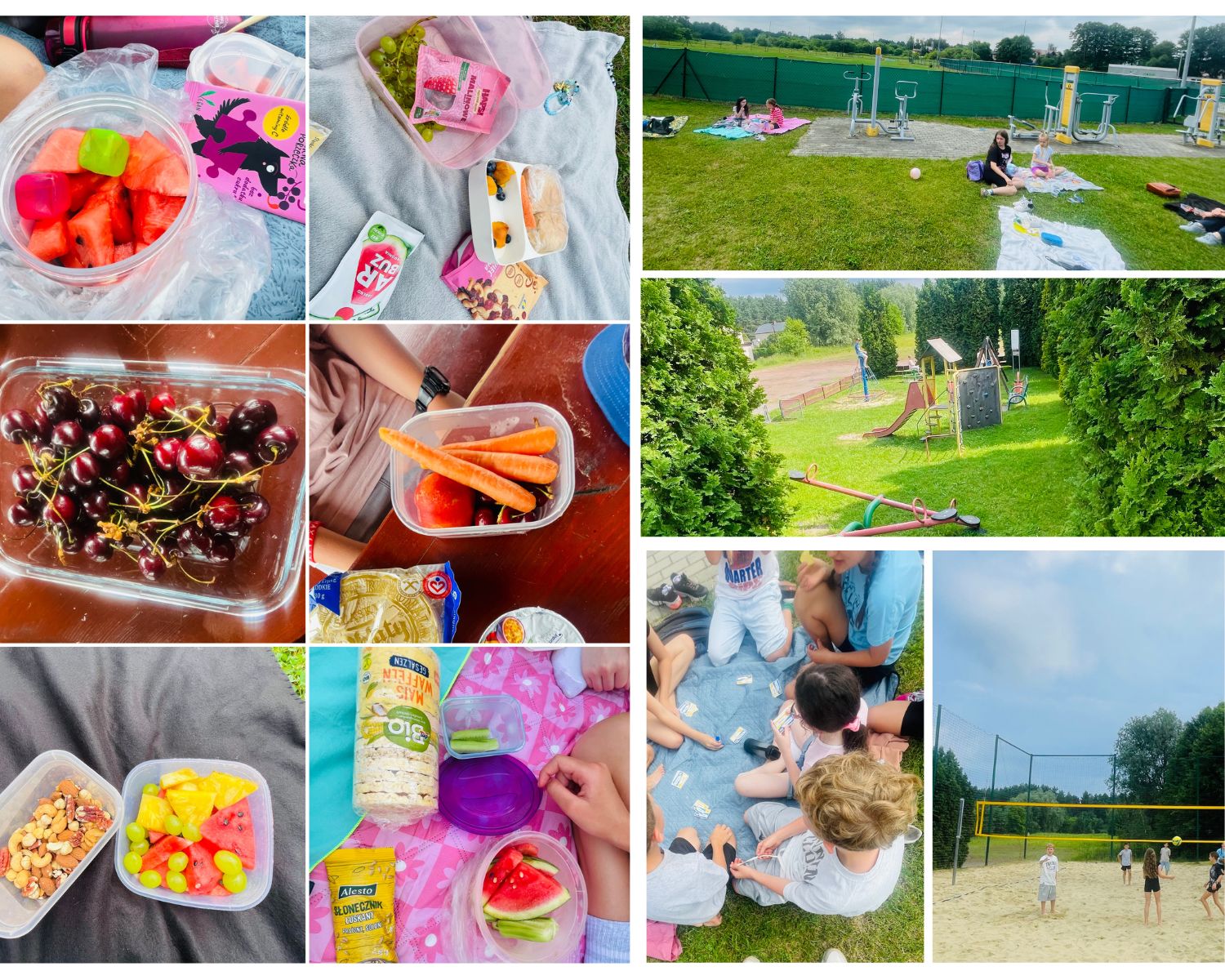 Piknik na świeżym powietrzu – wspólny relaks, zdrowe przekąski i aktywny czas spędzony razem.