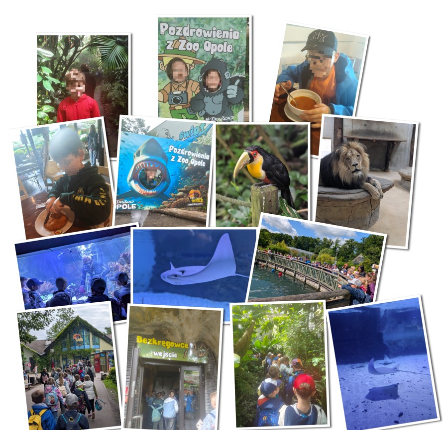 Wycieczka do zoo – obserwowaliśmy zwierzęta, poznawaliśmy ich zwyczaje i spędziliśmy czas na wspólnym odkrywaniu przyrody.